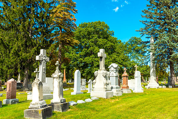 DevineMercyCatholicCemetery-01